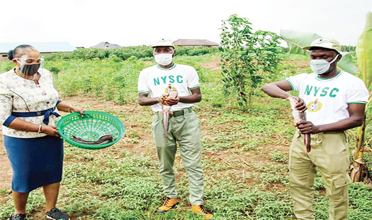 CBN, BOI partner NYSC to empower Corps members