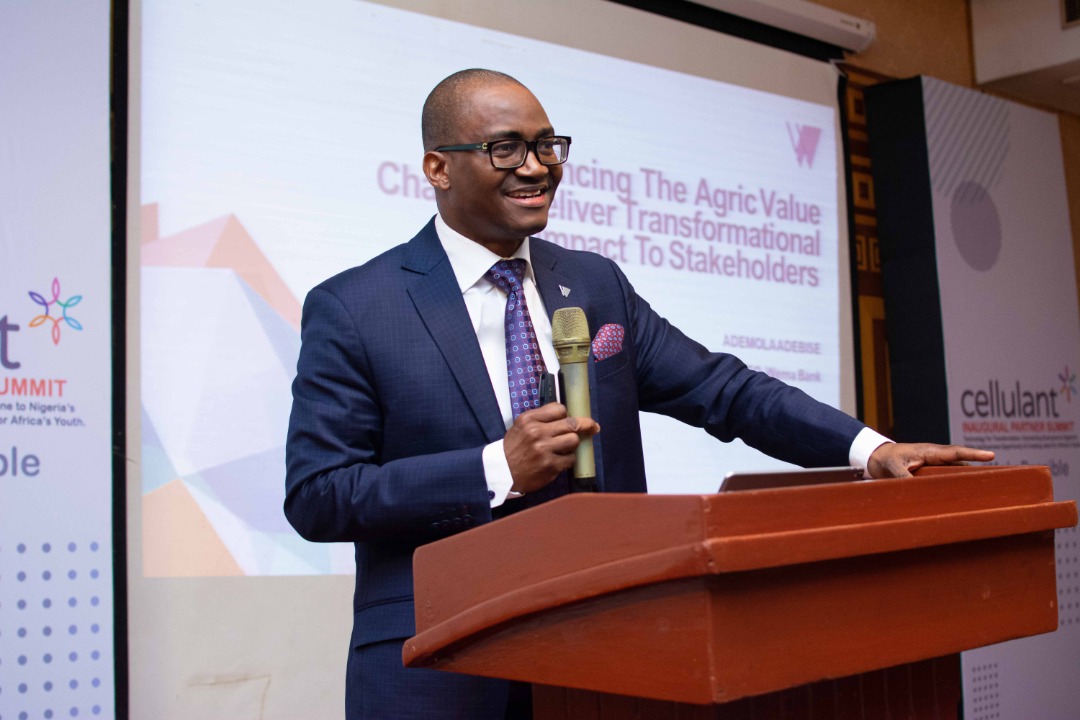 Wema Bank half-year performance worries shareholders as profit drops by 34 percent