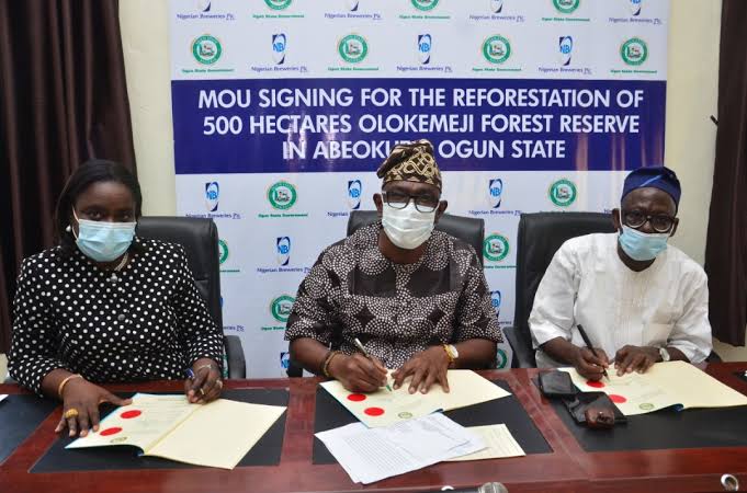 NB PLC set to boost tree planting in Ogun with N500m