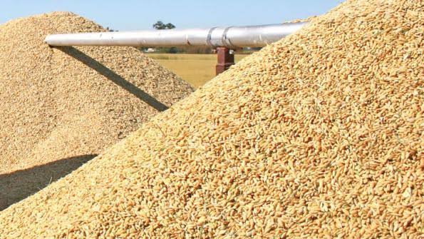 Nigerian farmers urge government to control rice price
