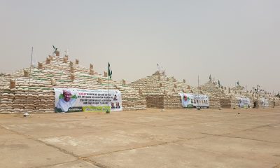 North East Rice Festival: Buhari assures Nigerians of more  pyramids