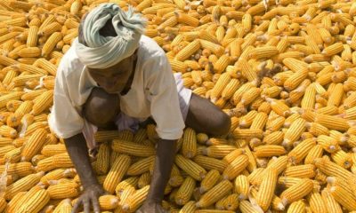 Agro-tech to boost agribusiness –expert