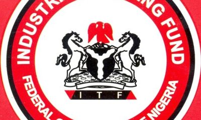 Nigeria’s Industrial Training Fund launches new policy framework