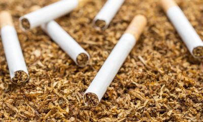 $1.4trn lost yearly to tobacco use-  WHO