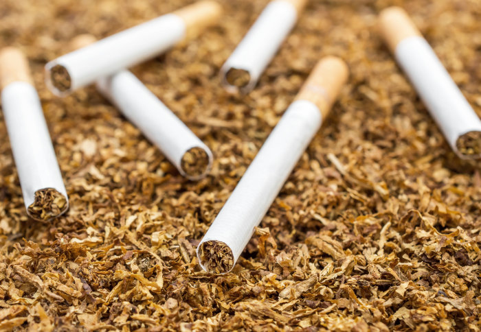 $1.4trn lost yearly to tobacco use-  WHO