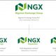 Nigerian Stock Exchange unveils new corporate identity