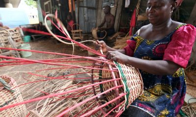 UK to support 30 Nigerian female GreenTech entrepreneurs
