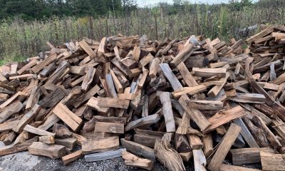 Firewood sellers ready to switch trade, seek vocational training