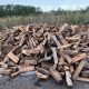 Firewood sellers ready to switch trade, seek vocational training