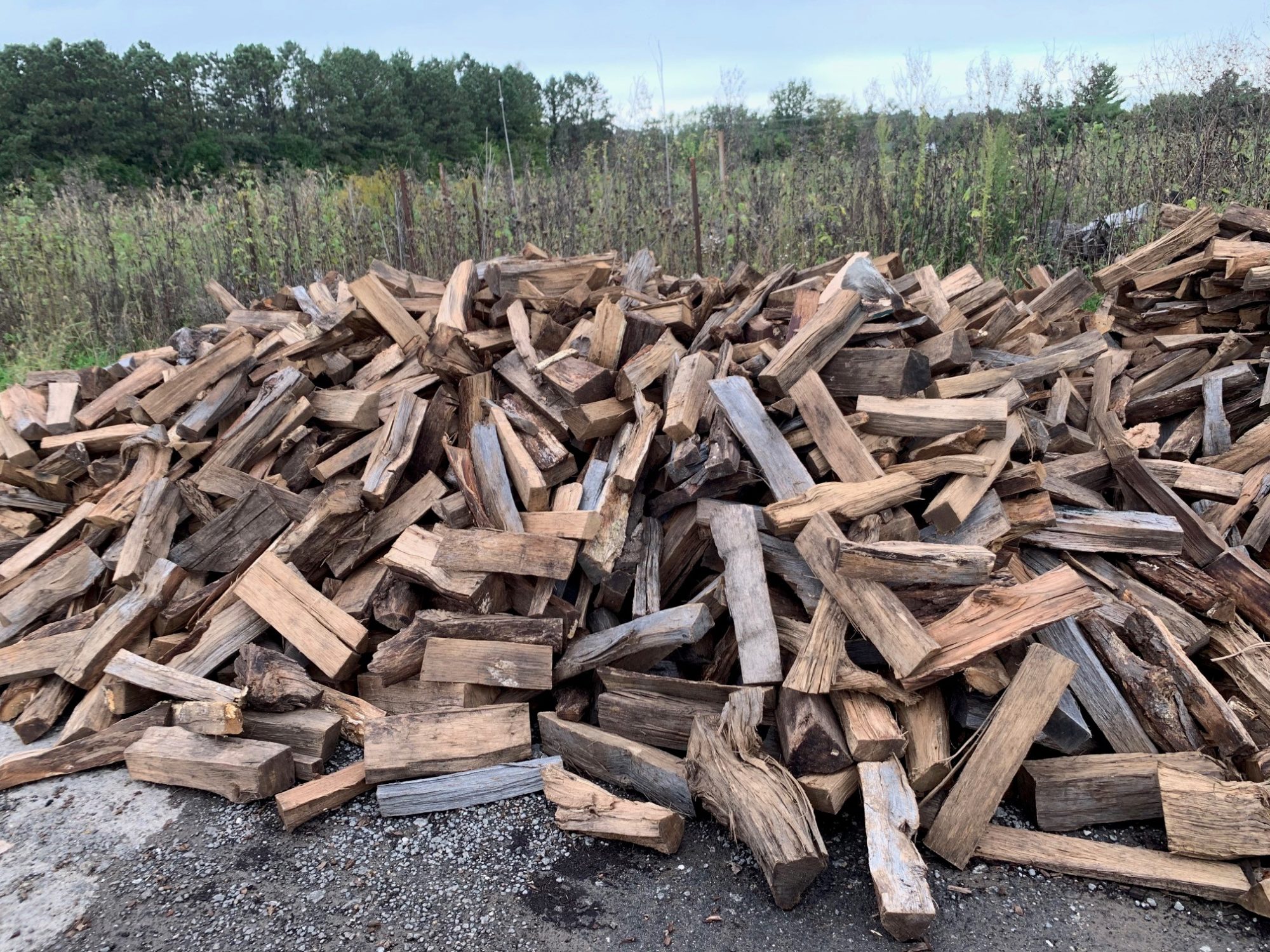 Firewood sellers ready to switch trade, seek vocational training