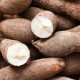 NextGen, IITA, others launch new improved cassava varieties