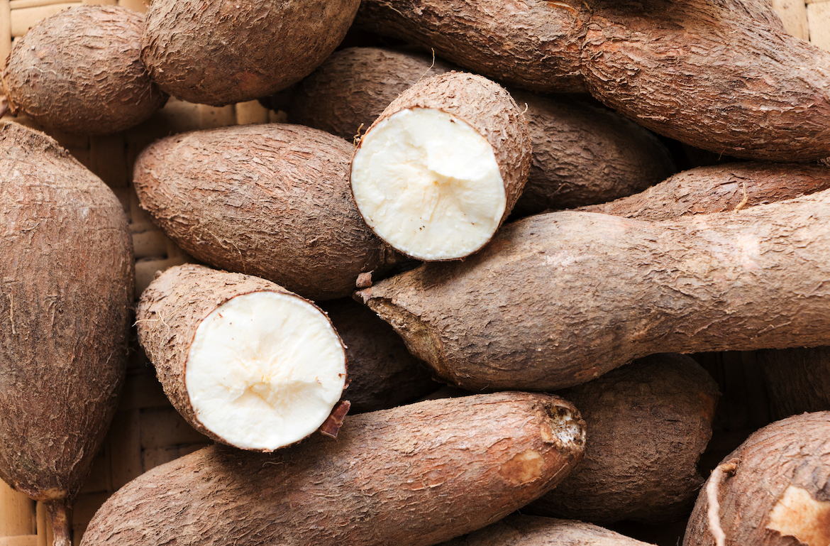 NextGen, IITA, others launch new improved cassava varieties