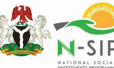N-SIP: FG tasks focal persons on professionalism
