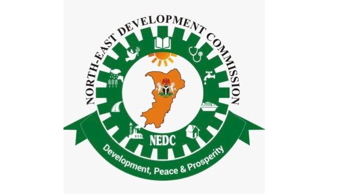 NEDC trains 331 youths on ICT
