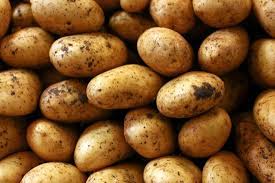 Plateau potato yield hits 960,000 metric tonnes per year