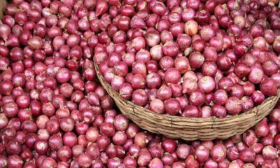 AfDB, Sokoto govt partner on onion trade