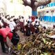 Total Energies Marketing partners NCF on tree planting