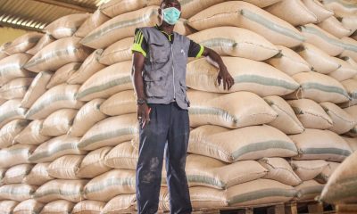 AFEX launches $100m Food Security Fund
