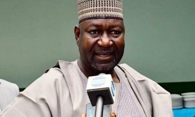 Nigeria’s renewable energy sector growing rapidly –Minister
