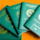 FG digitises payment for Nigerian Passport