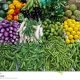 NALDA to establish vegetable market to prevent post-harvest loss
