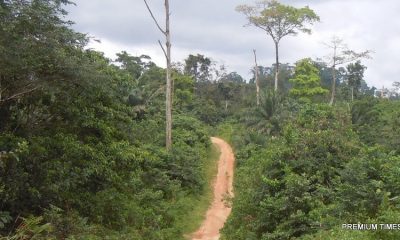 Group calls for preservation of nation’s forests for economic benefits