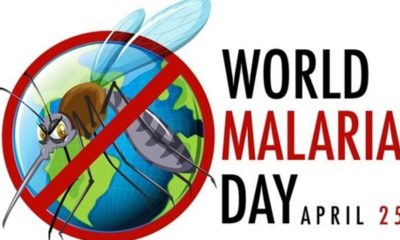 World Malaria Day: Association asks FG to reconstruct drainage systems