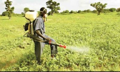 65% pesticides in Nigerian market highly hazardous –Group