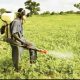 65% pesticides in Nigerian market highly hazardous –Group