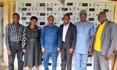 NCF calls for light pollution reduction to conserve migratory birds