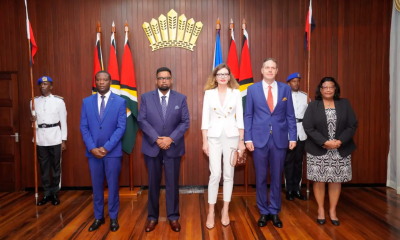 FG calls for proposals on Czech-Nigeria technology transfer