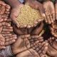 Global Report on Food Crises: Acute food insecurity hits new highs