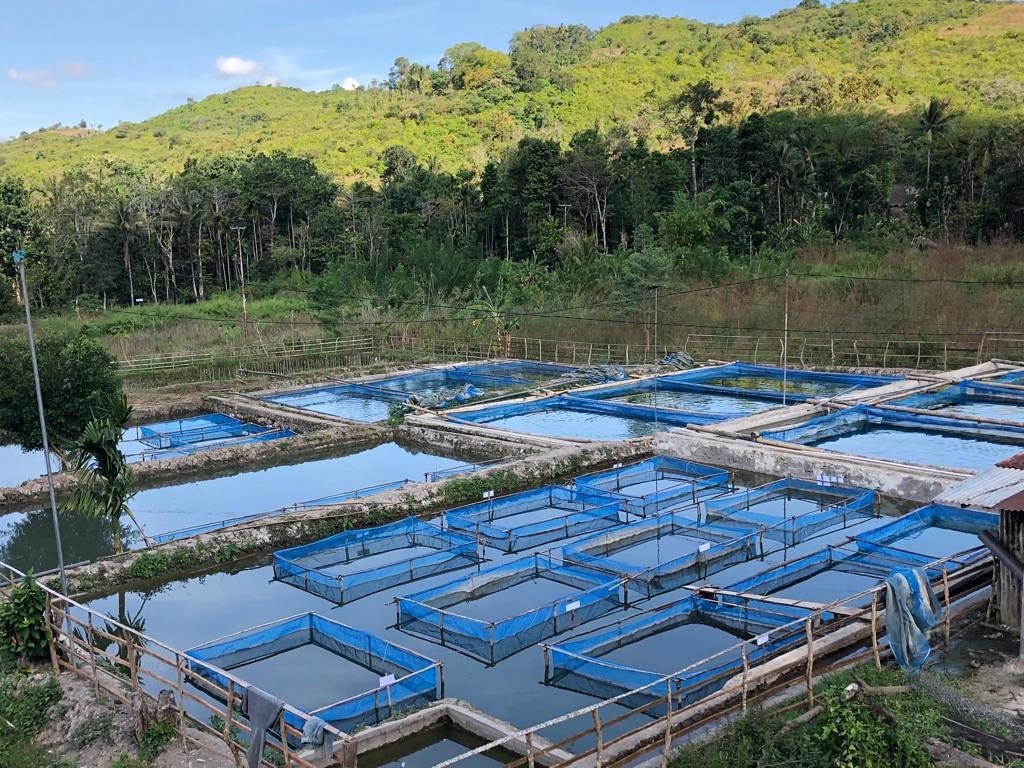 Agro-firm constructs fish hatchery, feeds factory in Bayelsa