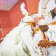  Erelu Dosumu becomes Queen Mother of the House of Oduduwa