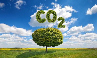 Nigeria requires clear policies to achieve 50% emission reduction by 2050