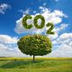 Nigeria requires clear policies to achieve 50% emission reduction by 2050