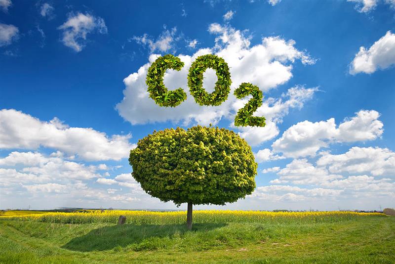 Nigeria requires clear policies to achieve 50% emission reduction by 2050