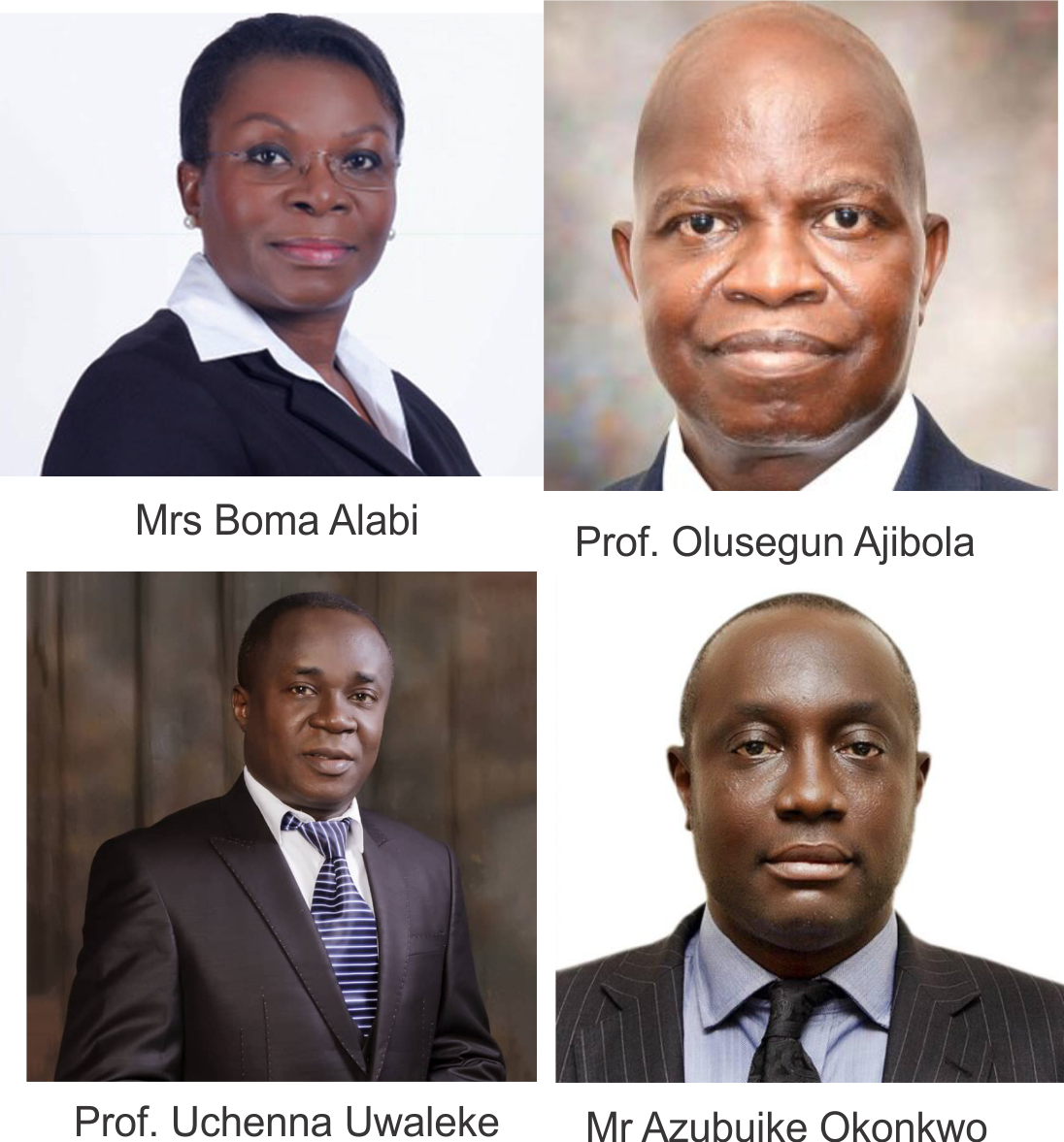 Cowry Asset Management appoints Alabi, Uwaleke, others as directors