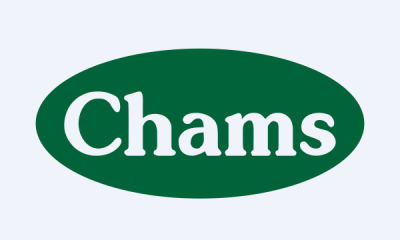 Chams appoints new non-executive director
